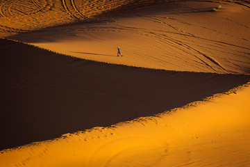 Fototapeta na wymiar Man walking on dunes of Desert Sahara with beautiful lines and colors at sunrise. Merzouga, Morocco
