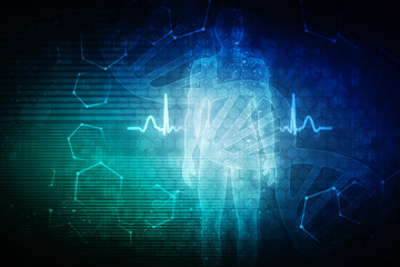 2d illustration Human Male Muscle Body