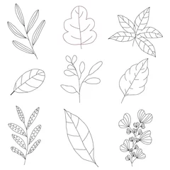 Foto op geborsteld aluminium Aquarel natuur set Collection of wild herbs, hand drawn vector design
