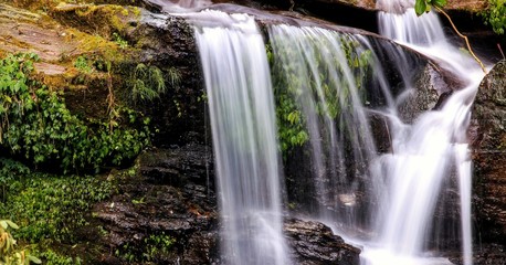 waterfall in forest