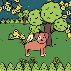 little dog with bird in the park