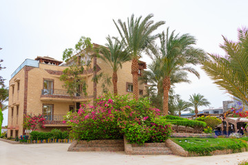 Egyptian hotel Seagull Beach Resort