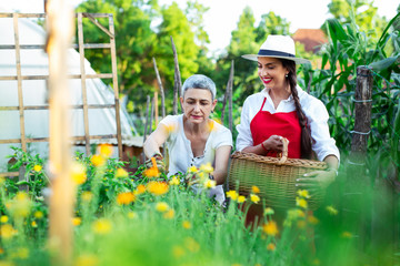 Mother and daughter working in garden