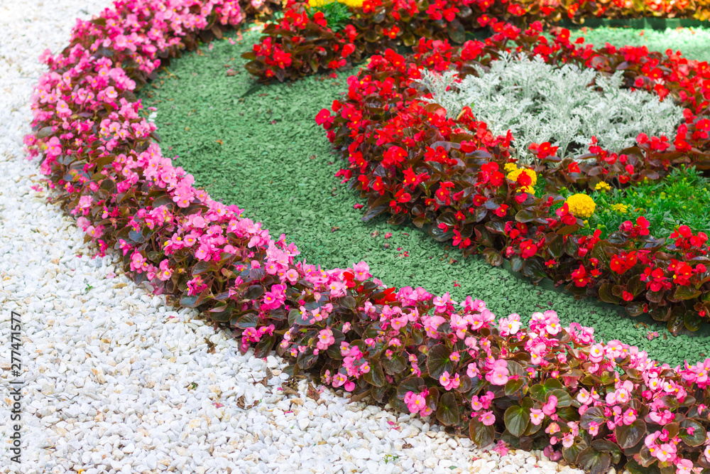 Wall mural a flower bed of flowers in the city park. red and pink begonia and marigold with artificial decorati