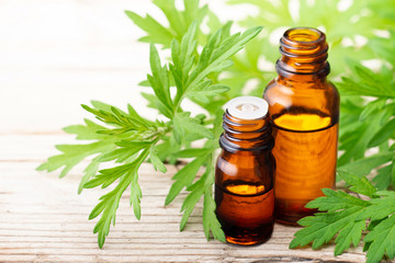 Mugwort essential oil with fresh leaves on the wooden board