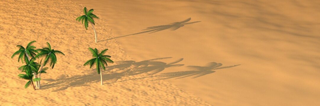 Palmer Bilder Durchsuchen 21,453 Archivfotos, und