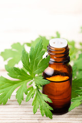 Mugwort essential oil with fresh leaves on the wooden board