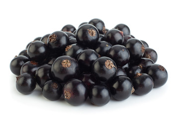 Black currant berries closeup