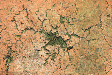 Old rough brick with moss and mold.  Cracked dark orange brick close-up. Natural background