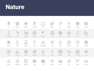 50 nature set icons such as waves, branch, bird, reed, iceberg, hive, snail, grow plant, water drop. simple modern vector icons can be use for web mobile