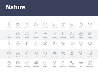 50 nature set icons such as mountain colapse, woods, four toe footprint, pine tree on fire, damaged, treatments, natural energy, bamboo sticks, leaf monstera. simple modern vector icons can be use