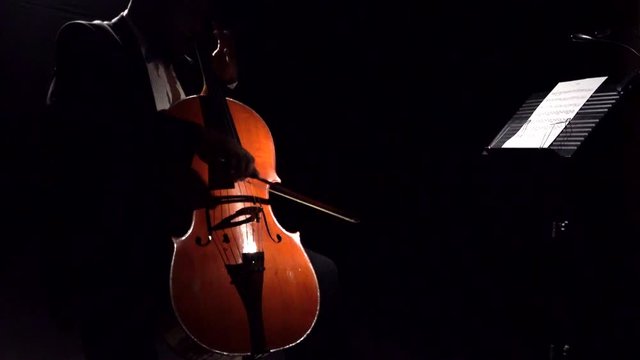 Cello Player