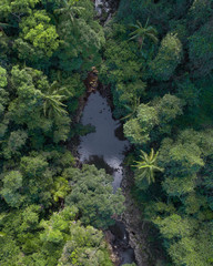 Aerial picture of a tropical oasis, small creek and waterfall in a jungle looking location