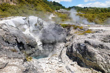 geothermal activity at Whakarewarewa Rotorua New Zealand