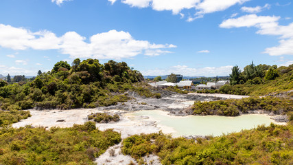 Fototapeta na wymiar geothermal activity at Whakarewarewa Rotorua New Zealand