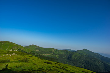 Fototapeta premium Green hills against the blue sky in the mountains