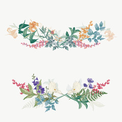 Horizontal hand drawn borders with wild flowers and herbs. Colored arrangement in vintage style.