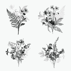 Vintage wild flower bouquet illustration set. Isolated black and white botanical herbs and flowers hand drawn graphic. Collection of botanical arrangement