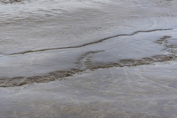 Schlick bei Ebbe in Dangast