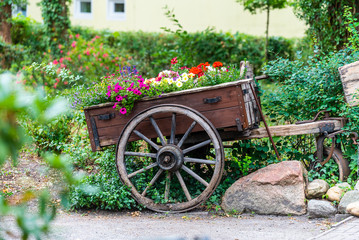 Ein alter Pferdeanhänger mit Blumen darauf
