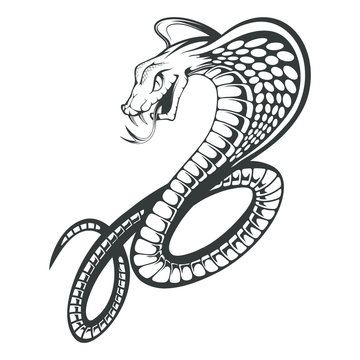 Black King Cobra logo. Snake Tattoo. Indian cobra illustration, drawing. Vector illustration, aggressive and evil spectacled cobra or Naja naja. Vector graphics to design