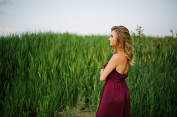 Fototapeta na wymiar Blonde sensual woman in red marsala dress posing in the reeds.