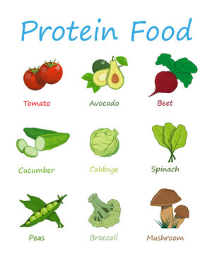 Protein containing foods variety for healthy daily ration. High protein diet vertical poster vector illustration. Healthy eating concept. Protein food concept tomato, avocado, beet, cucumber, cabbage