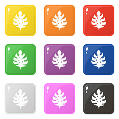 Monstera leaf icons set 9 colors isolated on white. Collection of glossy square colorful buttons. Vector illustration for any design.