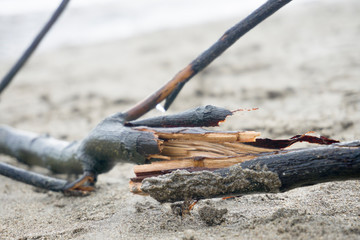 Spilled garbage on the beach of a big city. Empty used dirty plastic bottles, children's plastic toys. Dirty sea, sandy coast the Black Sea. Environmental pollution. Ecological problem. Moving waves