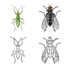 Vector design of insect and fly symbol. Collection of insect and element vector icon for stock.