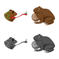 Isolated object of wildlife and bog symbol. Collection of wildlife and reptile vector icon for stock.