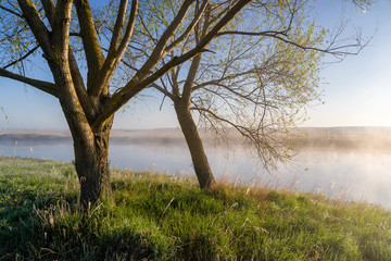 Słoneczny poranek nad Narwią. Mgły w Dolinie Narwi © podlaski49