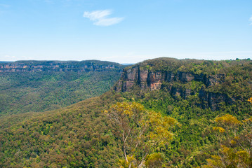 Fototapeta premium australia NSW blue mountains panoramic view