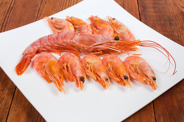 One king prawn among usual shrimps on square dish closeup