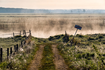 Słoneczny poranek nad Narwią. Mgły w Dolinie Narwi © podlaski49