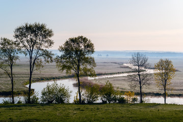Słoneczny poranek nad Narwią. Mgły w Dolinie Narwi © podlaski49