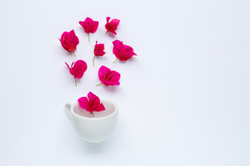 White cup with red bougainvillea flower on white background.