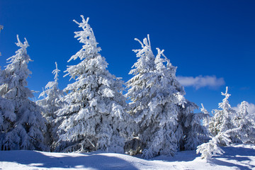 winter landscape at the Fichtelberg Oberwiesenthal