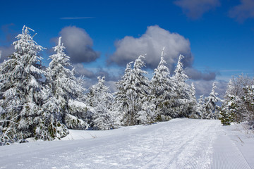 winter landscape at the Fichtelberg Oberwiesenthal