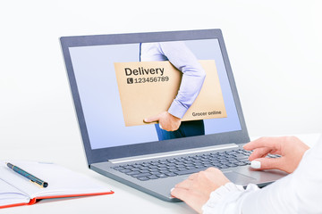 Woman Order Delivery Service or Online Shopping Computer Screen App. Online delivery service concept.
