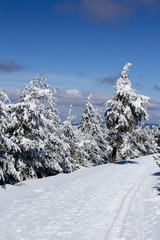 Fototapeta na wymiar winter landscape at the Fichtelberg Oberwiesenthal