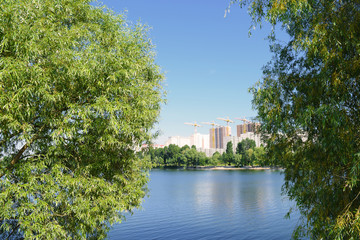 Obraz premium View through the green foliage of the lake in the city.