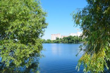 Fototapeta na wymiar View through the green foliage of the lake in the city.
