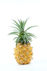 fresh pineapple fruit isolated on a white background with copy space