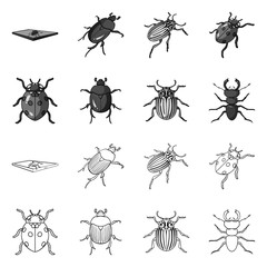 Vector design of insect and beetle sign. Set of insect and halloween vector icon for stock.