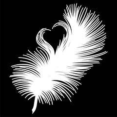 Feathers with a heart isolated. Vector illustration.
