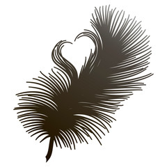 Feathers with a heart isolated. Vector illustration.