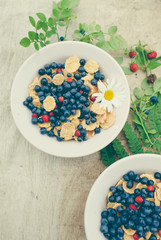 Summer wild berries