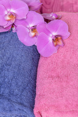 Fluffy terry towels and orchids phalaenopsis in pink