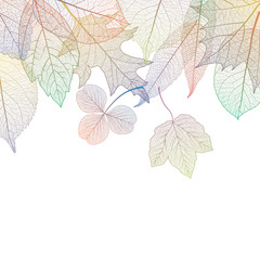 Beautiful background with  leaves .Vector illustration.